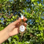 Miel de abeja melipona 100 % natural