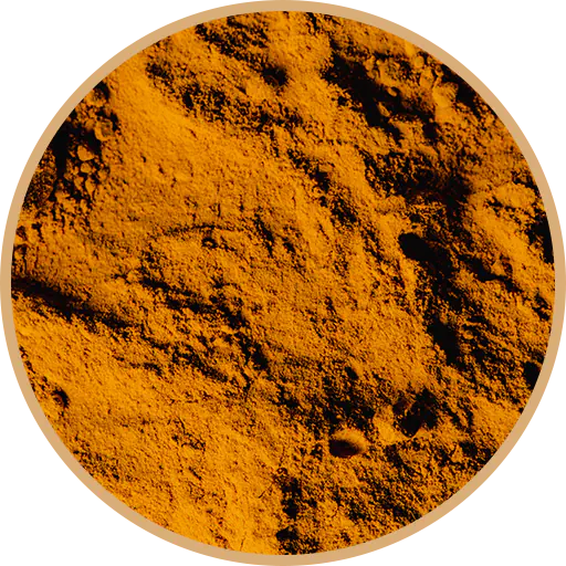 bienestar - curcuma-y-cascarilla