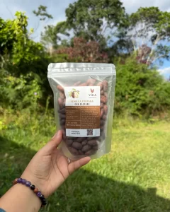 semilla de cacao tostada con cascara
